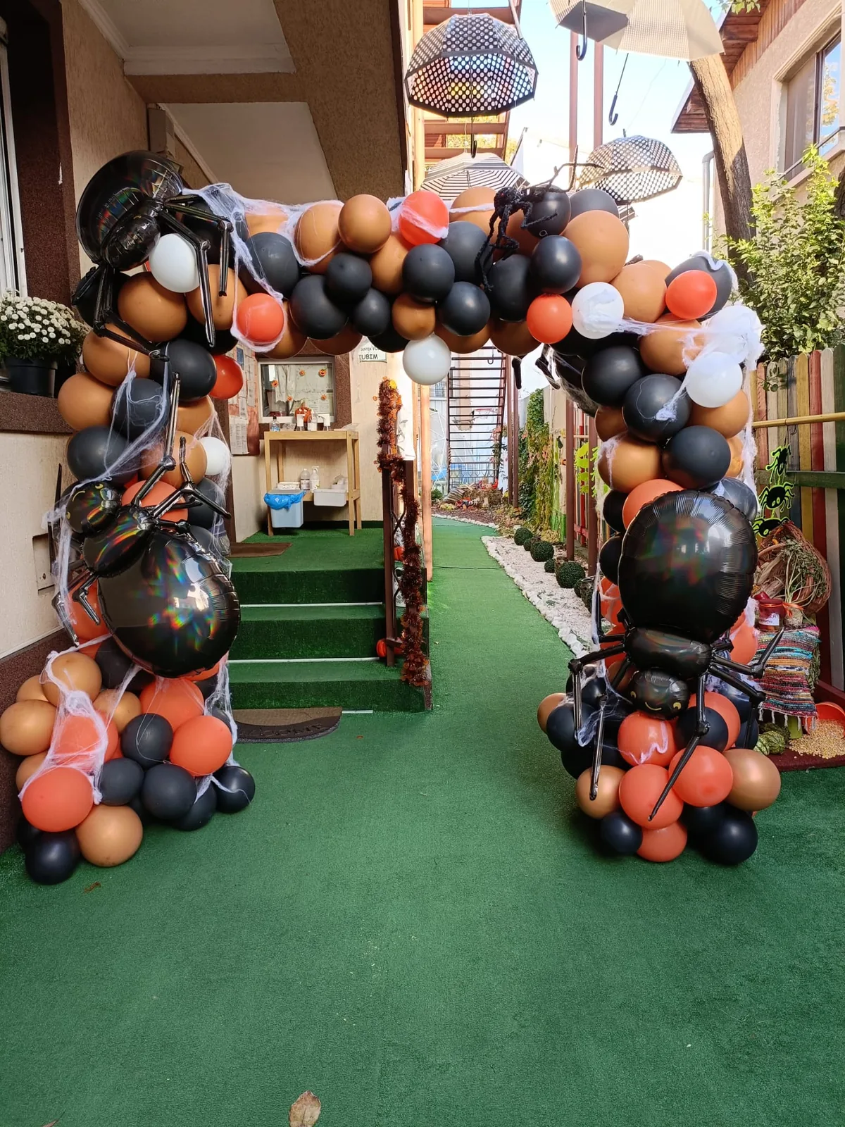 Baloane cu Heliu si Decoratiuni